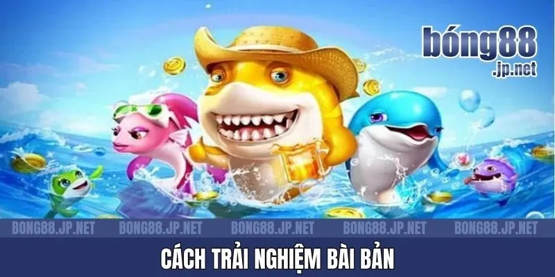 Cách trải nghiệm bài bản