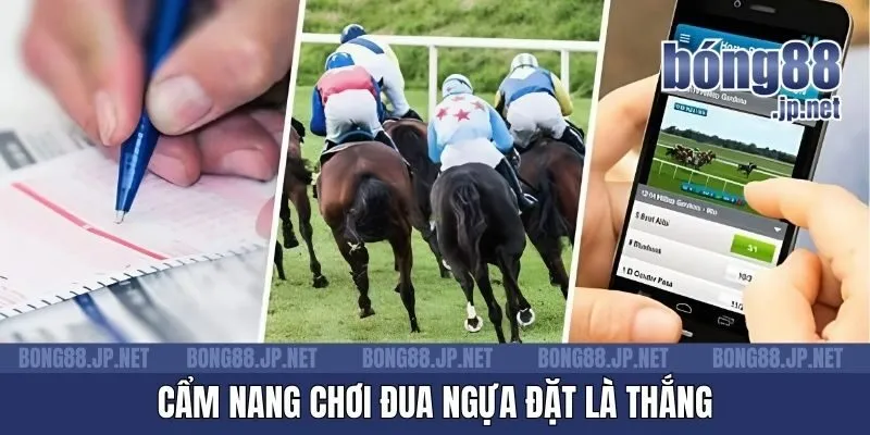 Cẩm nang chơi đua ngựa đặt là thắng