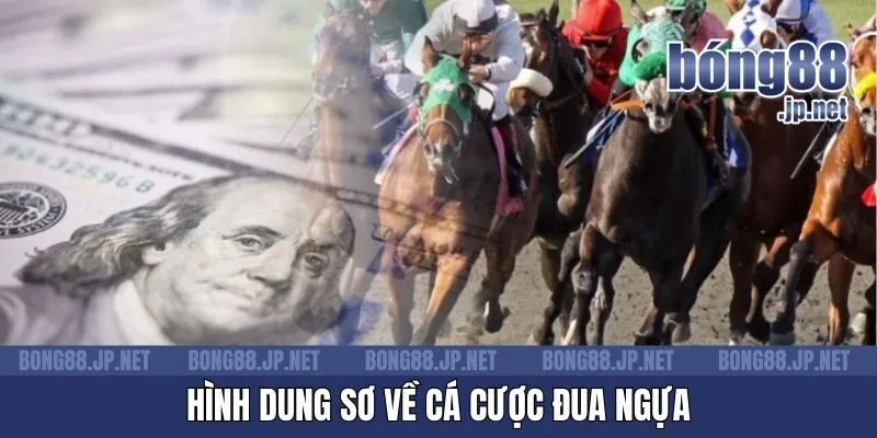 Hình dung sơ về cá cược đua ngựa