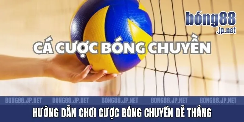 Hướng dẫn chơi cược bóng chuyền dễ thắng
