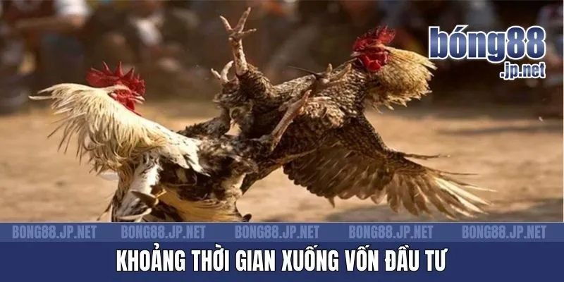 Khoảng thời gian xuống vốn đầu tư