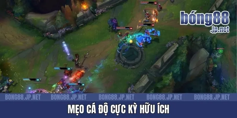 Mẹo cá độ cực kỳ hữu ích