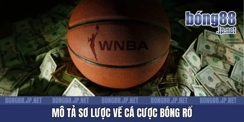 Mô tả sơ lược về cá cược bóng rổ