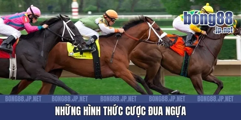Những hình thức chơi đua ngựa