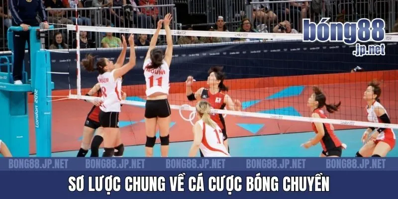 Sơ lược chung về cá cược bóng chuyền