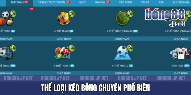 Thể loại kèo bóng chuyền phổ biến