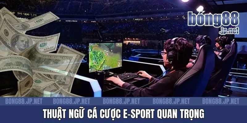 Thuật ngữ cá cược E-Sport quan trọng