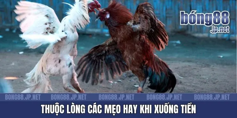 Thuộc lòng các mẹo hay khi xuống tiền